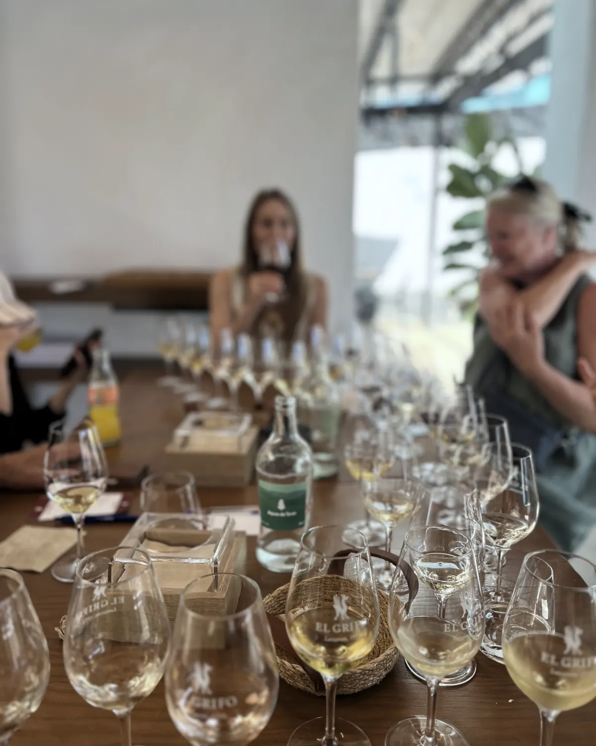 Rows of glasses on the long table at a tasting