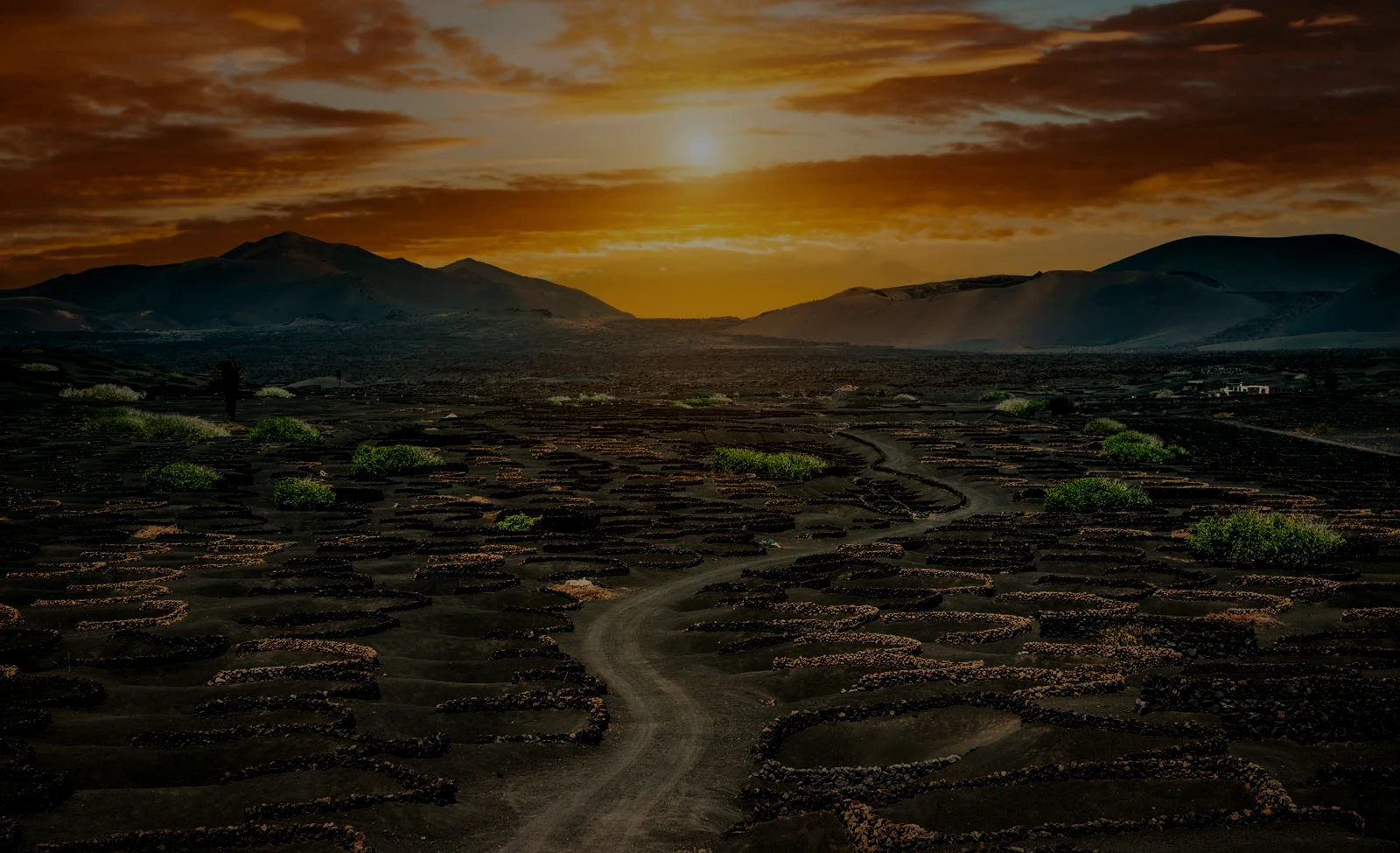 Solnedgang over La Geria, med hoyos så langt man ser