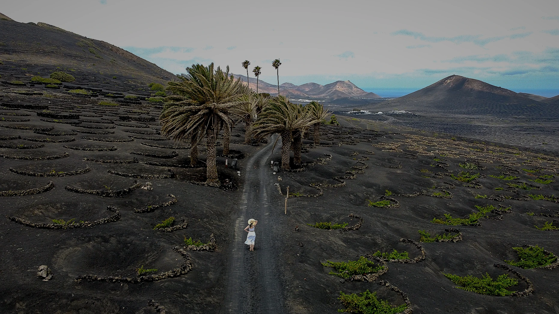 The road through the hoyos, palms and volcanoes beyond